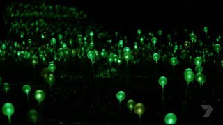 Field of Light: Avenue of Honour