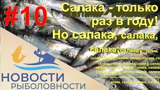 #10 Ловлю салаку в Балтийском море.