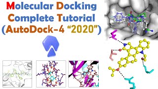 Molecular docking for Beginners | Autodock Full Tutorial | Bioinformatics