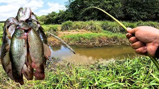 VAZAMOS DO CÓRREGO INVADIDO E ACERTAMOS O NINHO DAS TRAÍRAS! Pescaria caipira