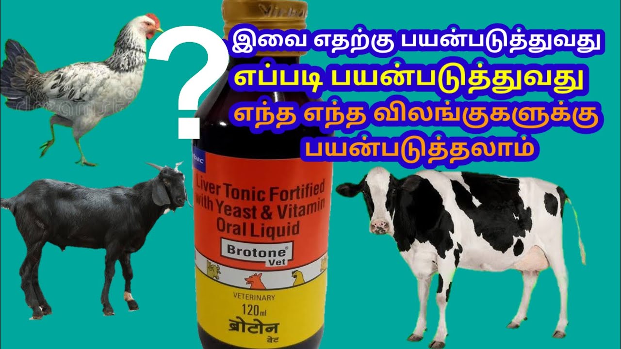 Brotone vet liver tonic How to use இந்த மருந்தை எவ்வாறு பயன்படுத்துவது ...