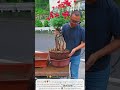 🔥 معجزة الصخر! كيف تنقل وردة حية؟ 🌹