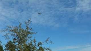 F18 flyover at house
