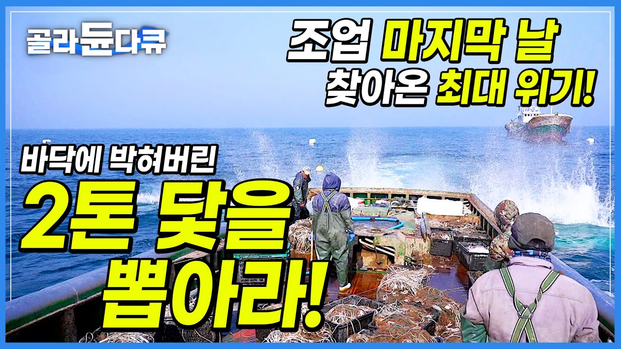 거친 바다에서 한 달! 거의 다 이룬 만선의 꿈, 그런데 2톤 거대 닻이 박혀버렸다!│긴장의 끈 놓을 수 없는 바다 사나이들의 ...