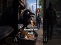 Je suis de corbeau #animaux #mondeanimal #corbeau #connaissance #culture #savoir #oiseaux #video
