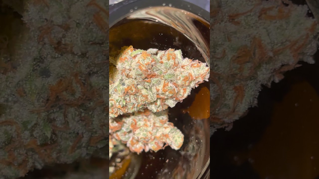 Mandarin Cookies x Chem Dawg x I-95 cannabis strain ChicagoSticky review