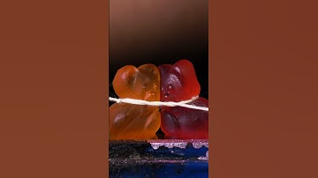 Thumbnail of ASMR Kissing Damla Bears close-up macro #shorts #satisfying #closeup #asmr #macro