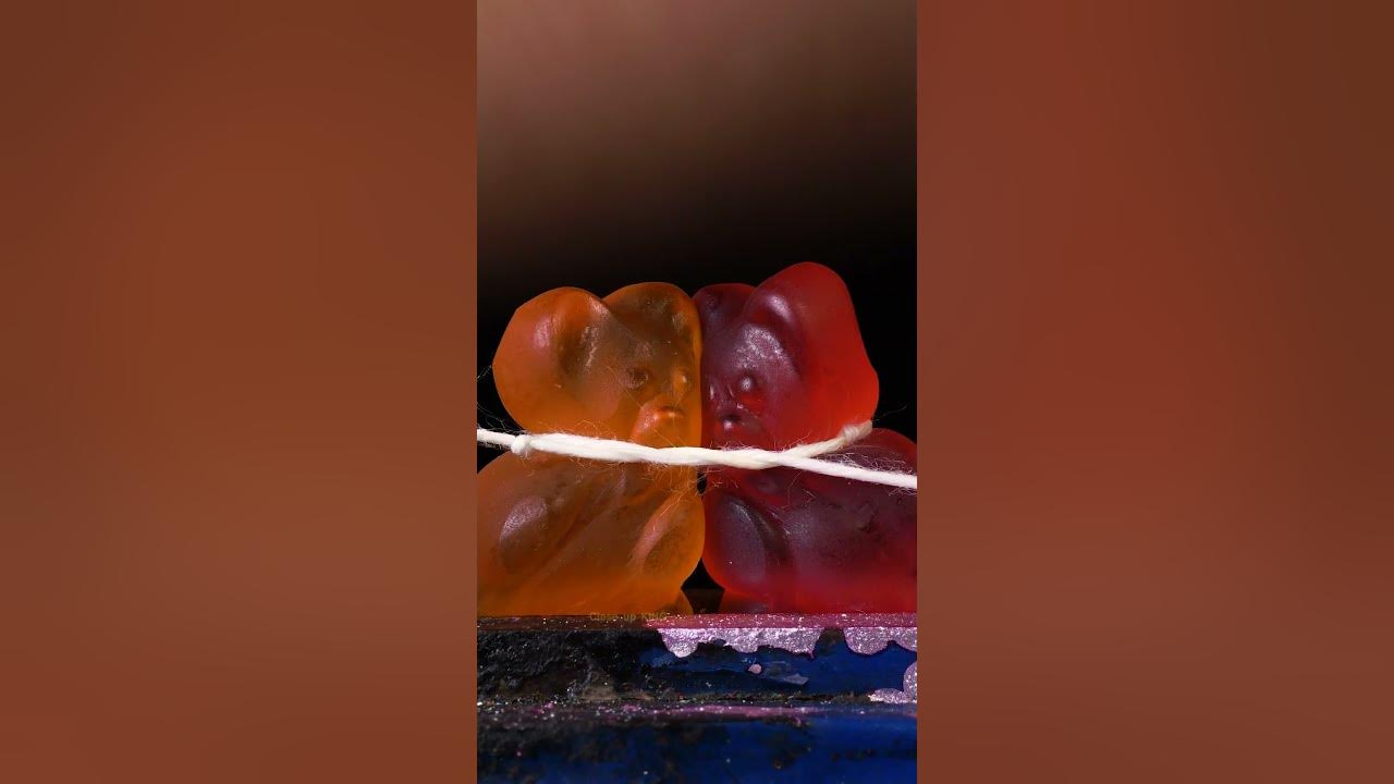 ASMR Kissing Damla Bears close-up macro #shorts #satisfying #closeup #asmr #macro