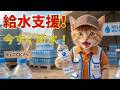 😱水の大切さに気づいた日…ここにゃんが変わった理由とは？💧