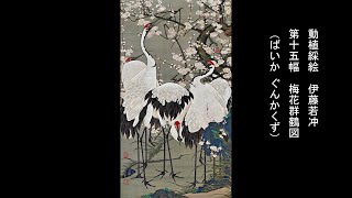 動植綵絵 伊藤若冲 「第十五幅 梅花群鶴図 （ばいか ぐんかくず