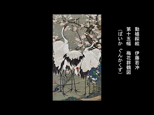 伊藤若沖 梅花郡鶴図 30×50cm 日本画 絵画 アート 433-220 伊藤若冲 動植綵絵 梅花群鶴図 高級仕様 額 美術品 インテリア