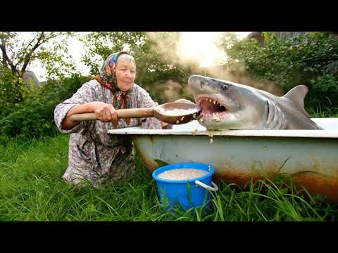 Нейро бабка кормит тралалаело тралала