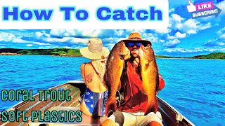 How to catch Coral trout with out a fish finder on soft plastics - Catch and Cook- EP 25