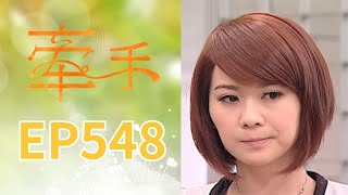 Holding Hands EP548 The Other Hands｜Sanlih E-Television Drama