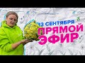 ПРЯМАЯ ТРАНСЛЯЦИЯ. 13.09.23