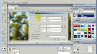 Edit picture in Fireworks CS3 for use on a website. screenshot 4