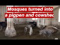 Mosques turned into a pigpen & cowshed in Azerbaijan's occupied Agdam district.