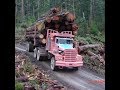 Trucks Stuck in Mud | Heavy Machines Big Trucks Logging 2021