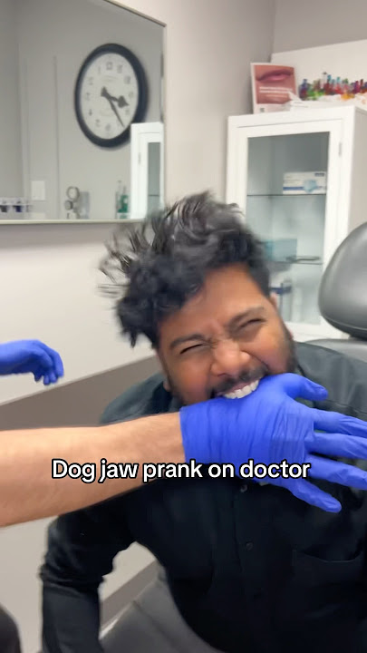 Dog jaw prank taken too far😭 #dogjaw #prank #tiktok #trending #viral #comedy #funny