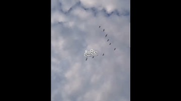 سورة الزمر بصوت الشيخ/ عبد البديع غيلان  .