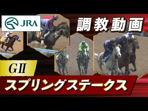 【調教動画】2024年 スプリングステークス｜JRA公式