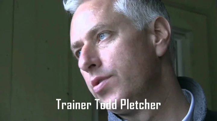 Stay Thirsty preps for Breeders' Cup Classic