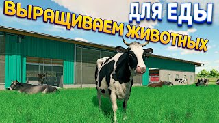 ВЫРАЩИВАЕМ ЖИВОТНЫХ ( Farming Simulator 22 )