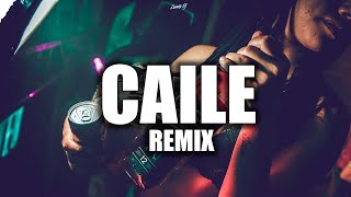 CAILE (REMIX) LUAR LA L ✘ LUMIIX DJ