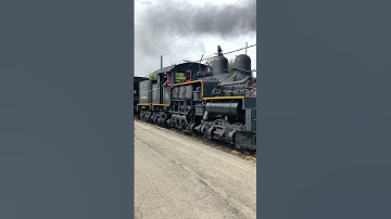 Shay Steam Locomotive and a Caboose Train! #trains #railroad