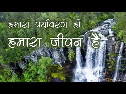 वीडियो: पारिस्थितिकी ही जीवन है