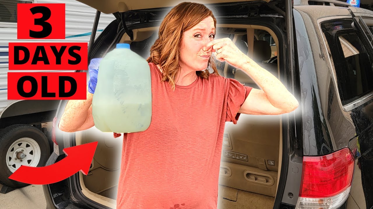 Best Way To Get Spoiled Milk Smell Out Of Carpet | Homeminimalisite.com