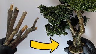 Stupid Simple but Stupidly Awesome Trees for Tabletop Games.