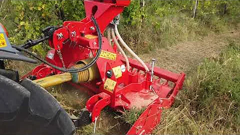 CARRARO FB 95 CV CON ERPICE FRANDENT