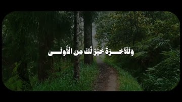 وَلَسَوْفَ يُعْطِيكَ رَبُّكَ فَتَرْضَىٰ | سورة الضحى