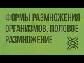 Формы размножения организмов. Половое размножение. Видеоурок по биологии 10 класс