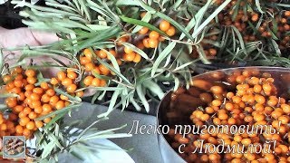 Облепиха . Замораживаю ягоды. Легко приготовить! Облепиха . Замораживаю ягоды. Легко приготовить!