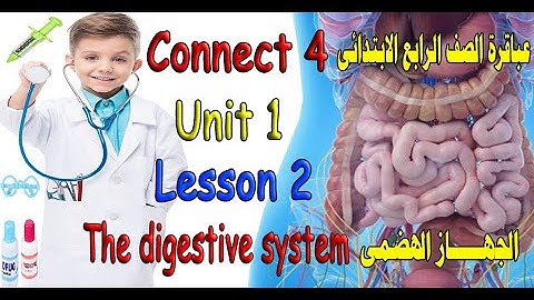 كونكت 4 شرح الجهاز الهضمي للصف الرابع الابتدائي الوحدة الاولى الدرس الثانى Unit 1 Lesson 2 Connect 4