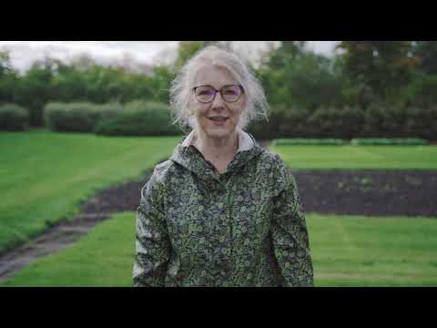 Video: Kaip Pasodinti Tulpių Svogūnėlį