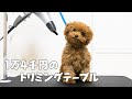 素人が愛犬のためにプロも使う1万4千円のトリミングテーブルを買ってみた！