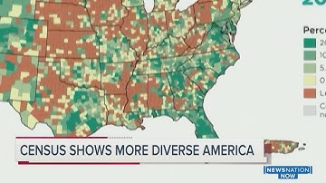 Census shows US is diversifying, white population shrinking