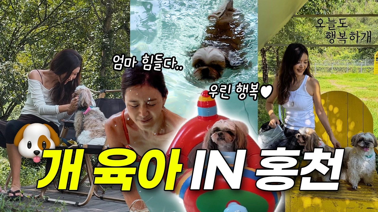 강아지 2마리와 함께 떠난 여름휴가🐶 | 홍천 애견 펜션 추천