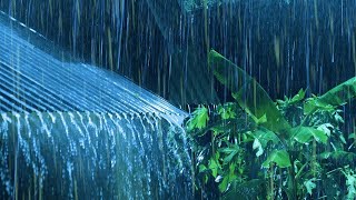 Rain Sounds For Sleeping - 99% Instantly Fall Asleep With Rain And Thunder Sound At Night. ASMR RAIN