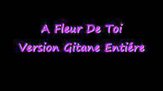 A fleur de toi - version gitane entiére.wmv chords