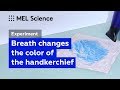 Experiment trick – How to change a fabric&#39;s color by a breath