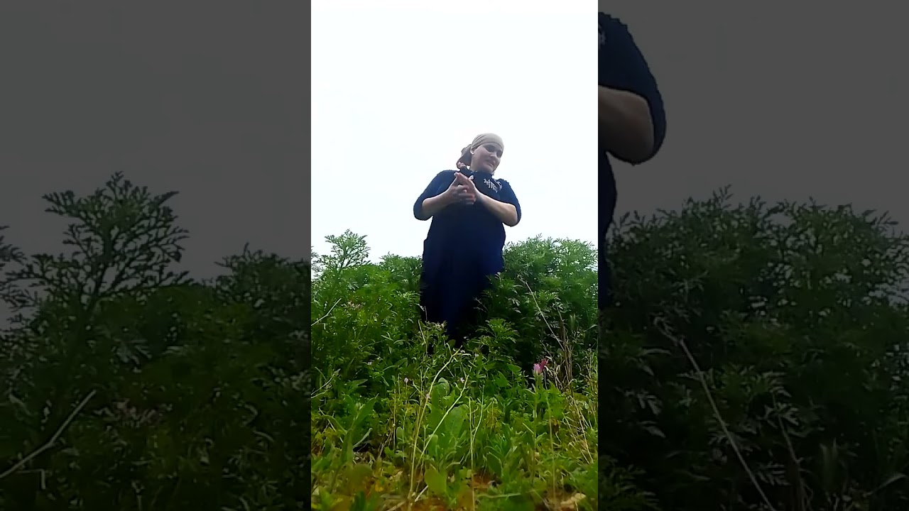 ١ مارس ٢٠٢٦