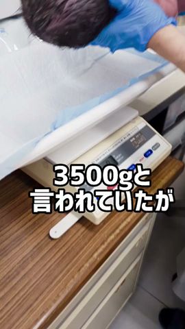 【出産】初めての體重測定　大きいと言われてた赤ちゃんの體重は？