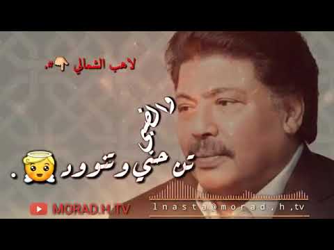 عشقة الخرد عنيه الفنان المرحوم ابو بكر سالم حالات واتساب يمنيه