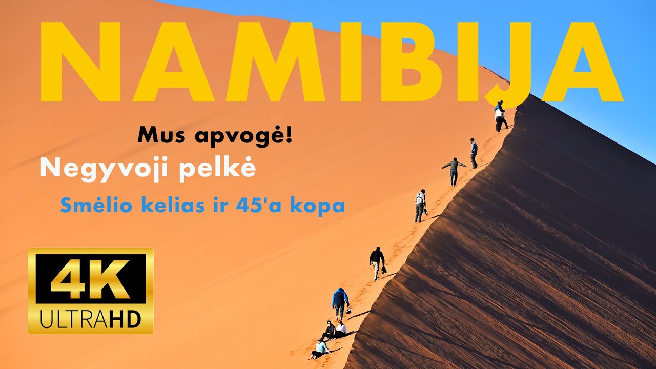 🇳🇦 NAMIBIA (5) Vagys! Negyvoji pekė ir smėlio kelias #namibia #africa #african #deadvlei #dune