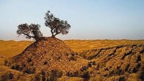الشيخ مكاوى السنباطى\ ما تيسر من سورة الحجرات