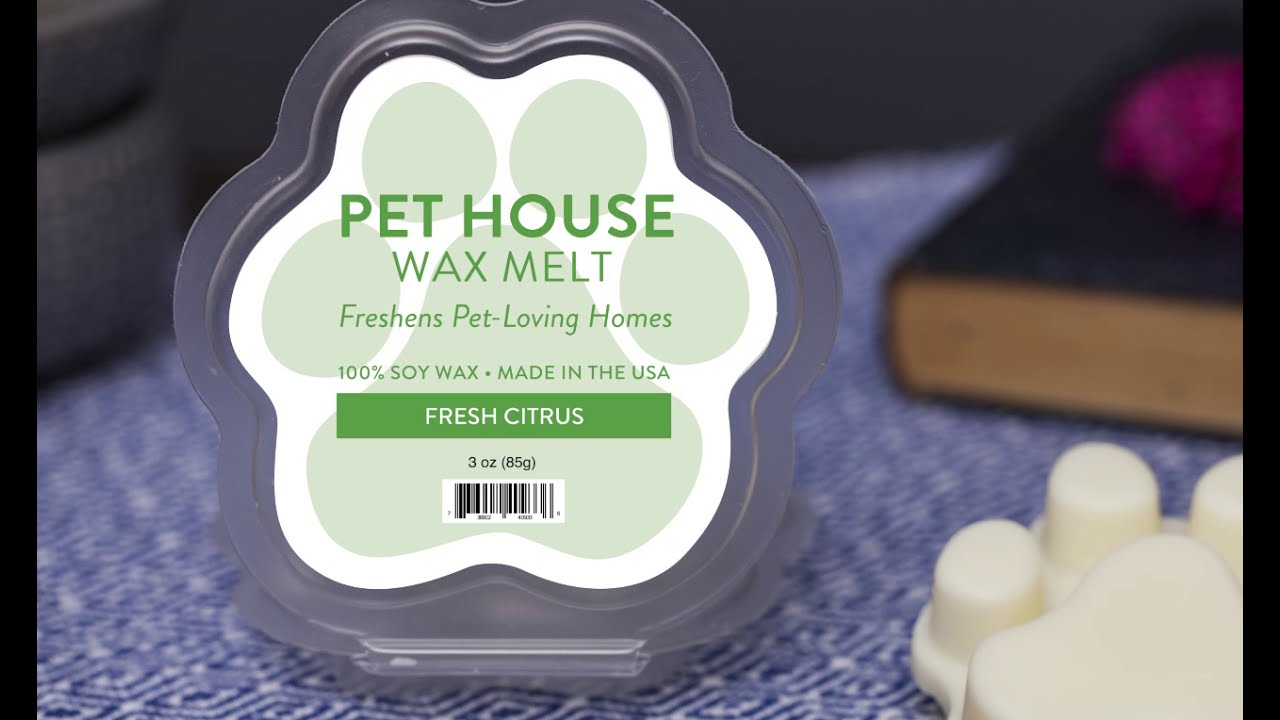 Pet House Electric Wax Warmer by One Fur All: No-Flame Design for Added  Safety